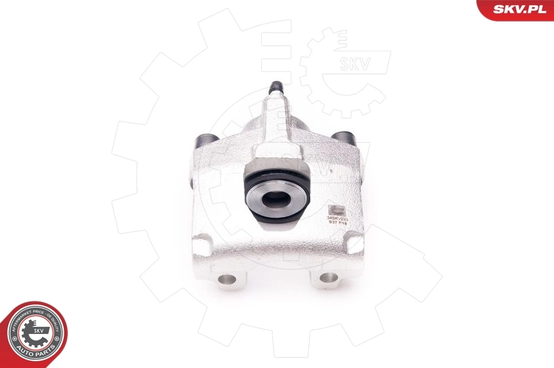 Brake Caliper 34SKV293