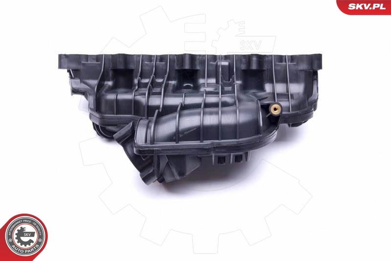 Intake Manifold Module 49SKV030
