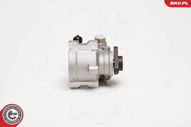 Hydraulic Pump, steering 10SKV055