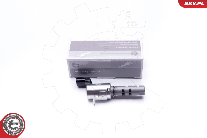 Control Valve, camshaft adjustment 39SKV032