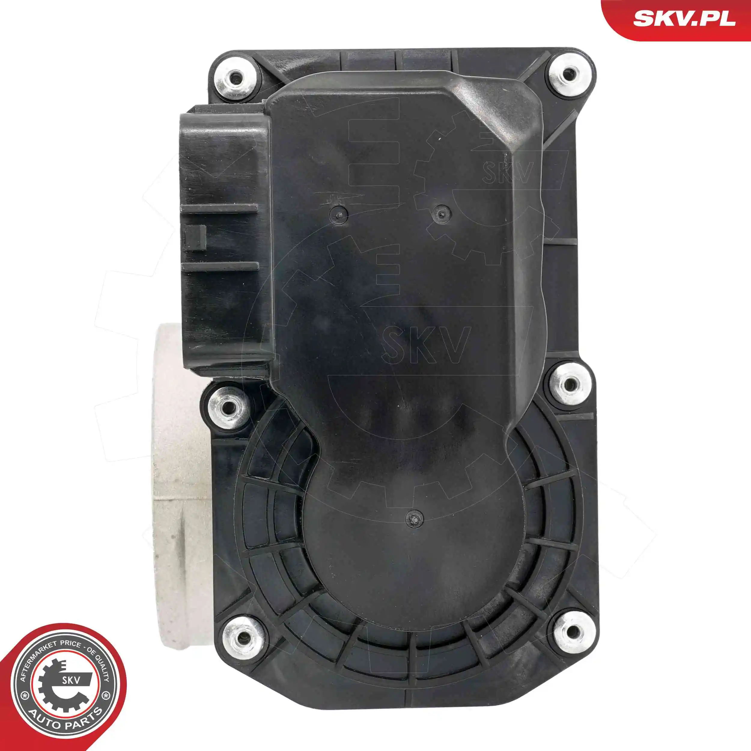 ESEN SKV 12SKV138 Throttle Body
