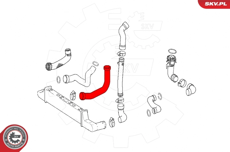 Charge Air Hose 43SKV411