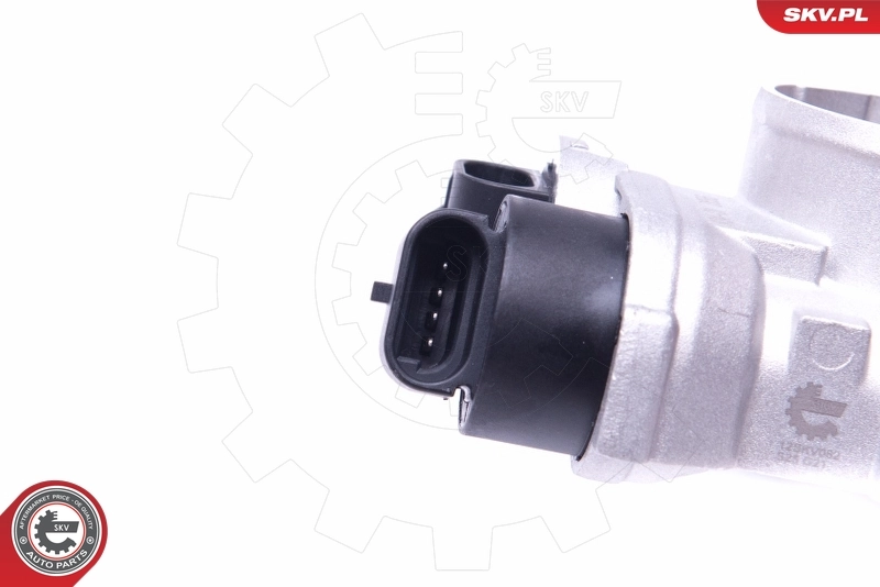 Throttle Body 12SKV082