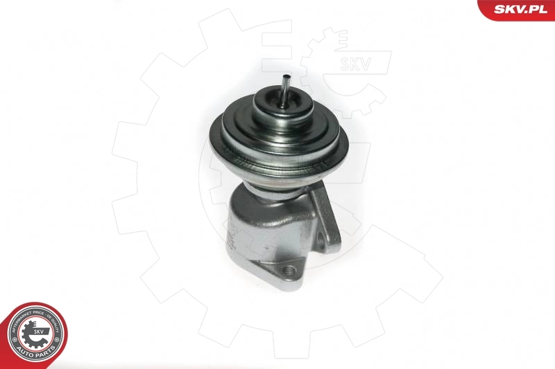 Válvula EGR 14SKV049