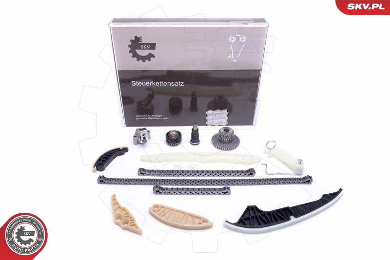 Timing Chain Kit 21SKV162