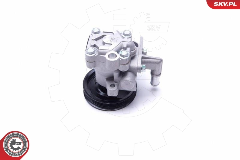 Hydraulic Pump, steering 10SKV300