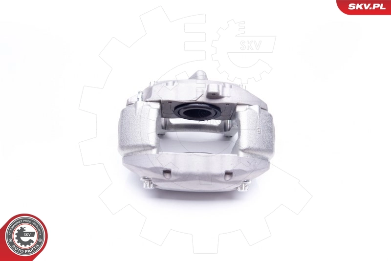 Brake Caliper 42SKV451