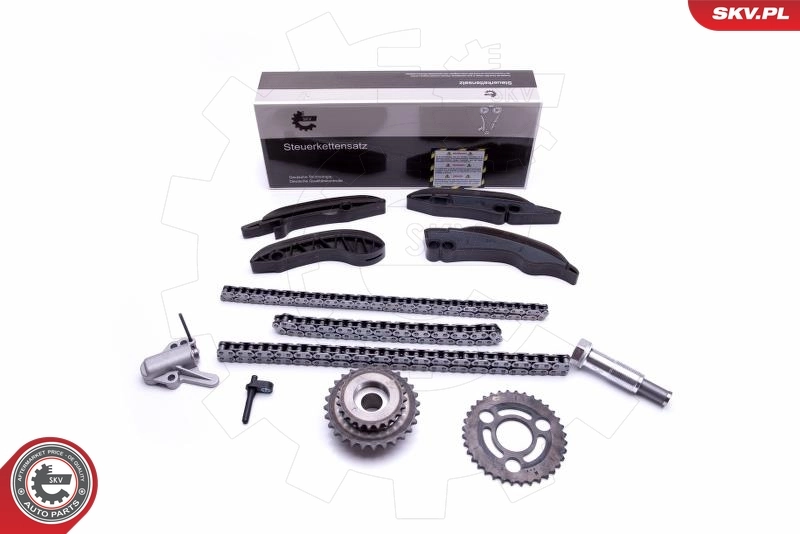 Timing Chain Kit 21SKV174