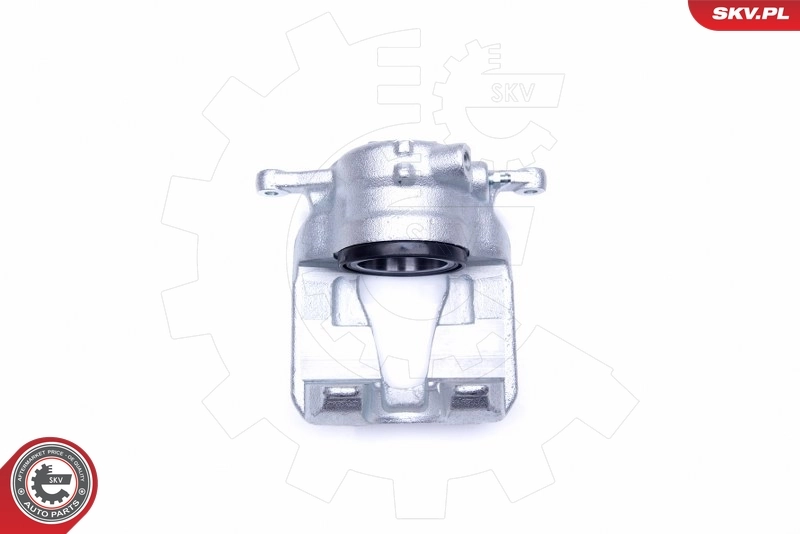 Brake Caliper 44SKV272