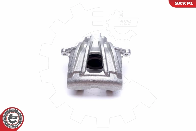 Brake Caliper 50SKV131