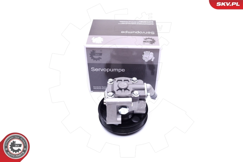 Hydraulic Pump, steering 10SKV038