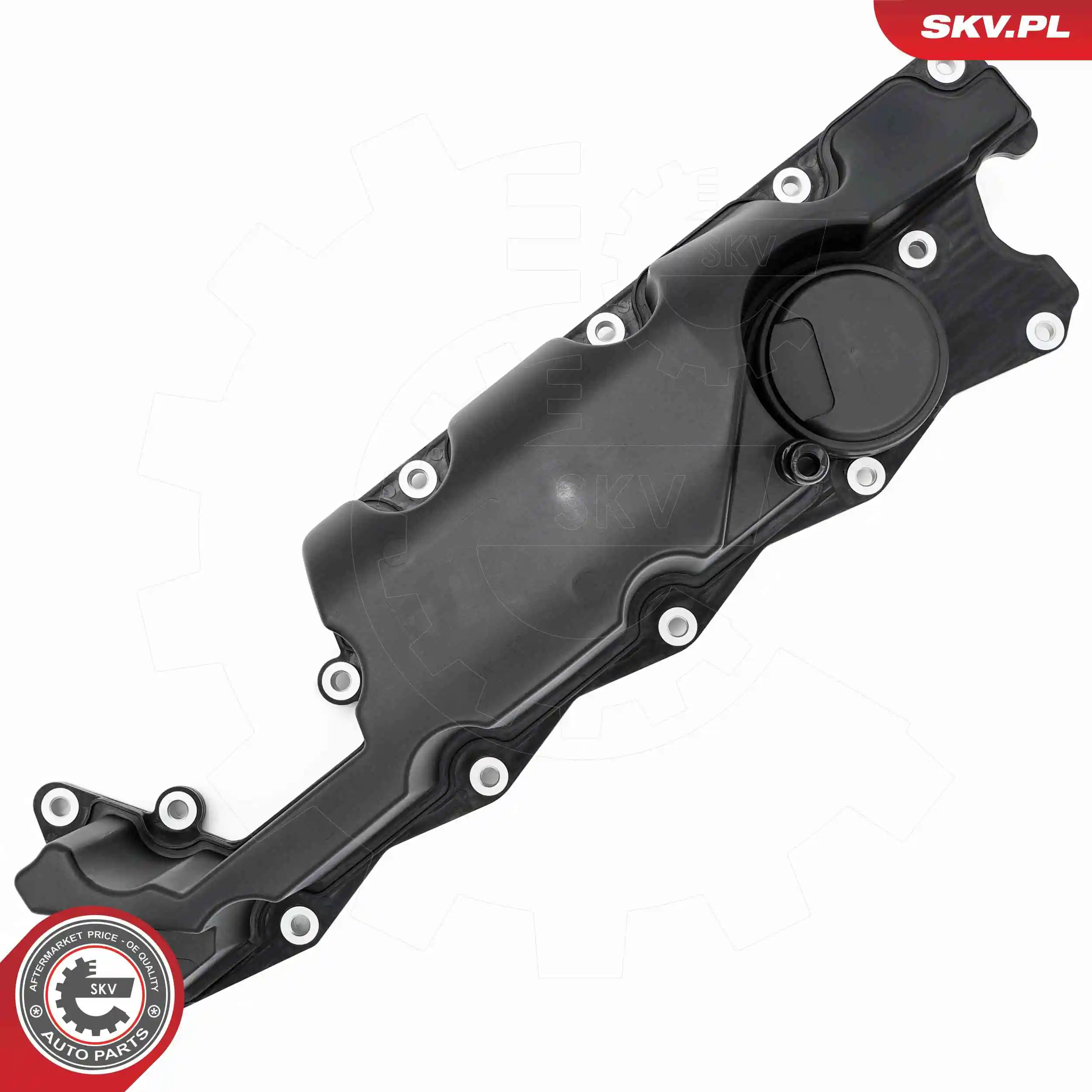 Cylinder Head Cover 48SKV117