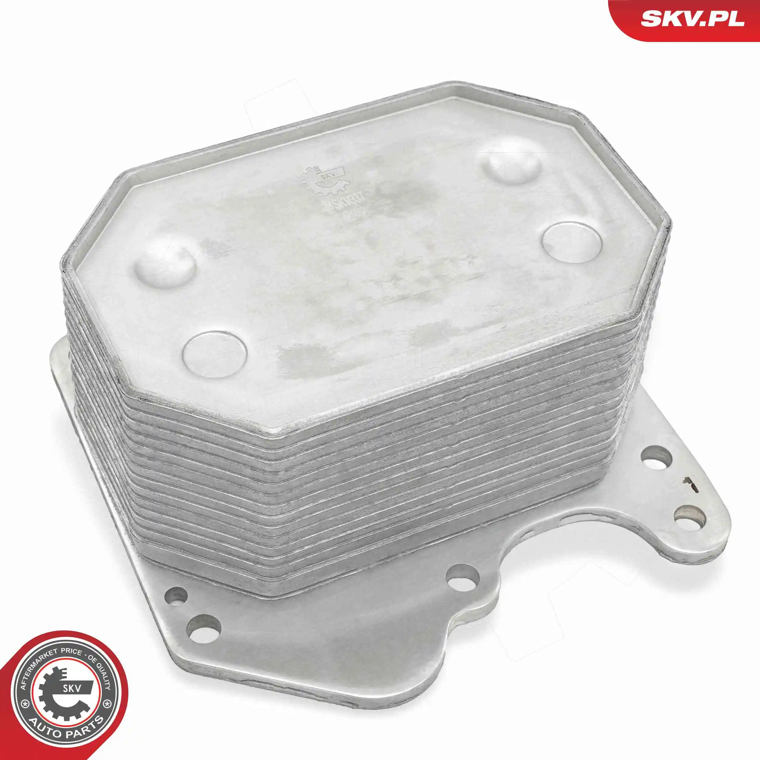 Oil Cooler, engine oil 31SKV337