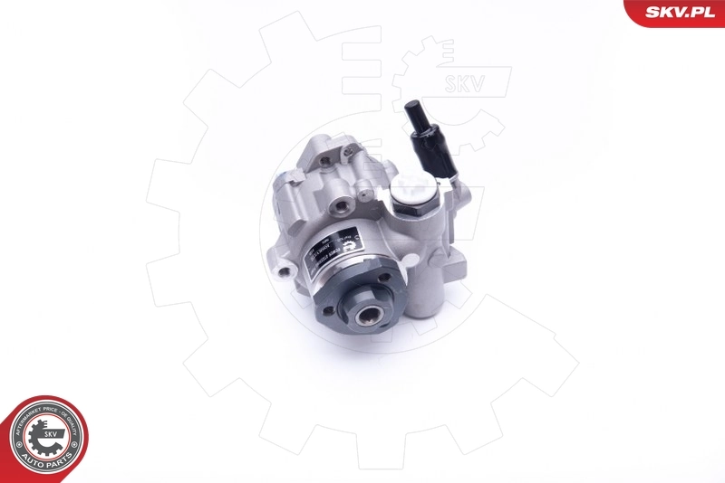 Hydraulic Pump, steering 10SKV172