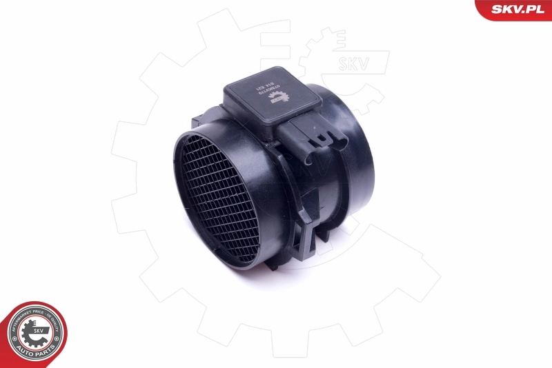 Mass Air Flow Sensor 07SKV170