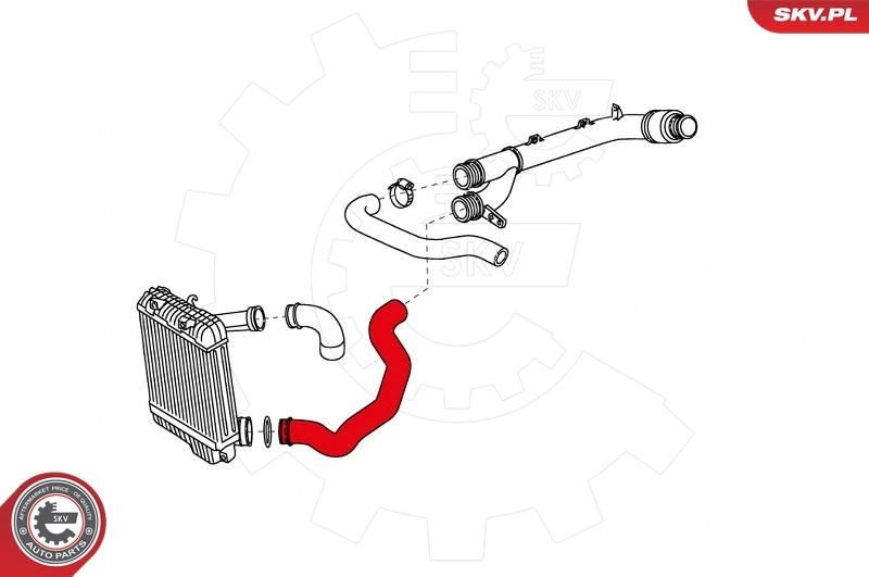 Charge Air Hose 43SKV156