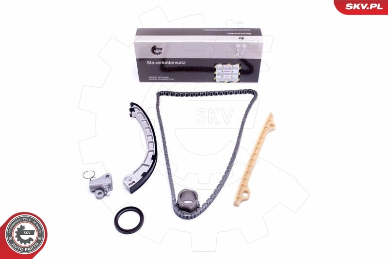 Timing Chain Kit 21SKV217