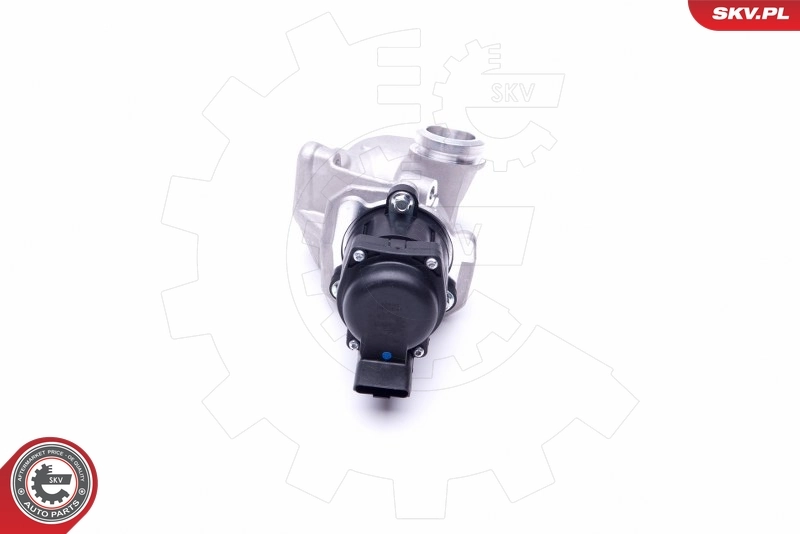 EGR Valve 14SKV202