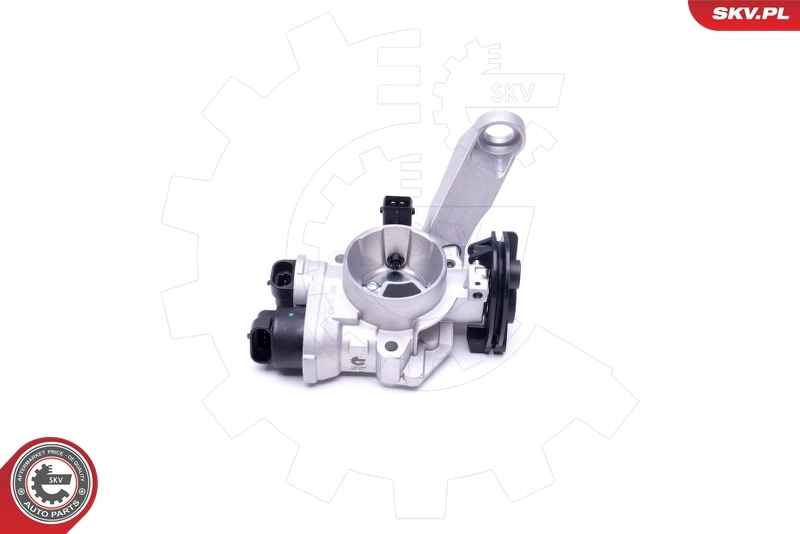 Throttle Body 12SKV082