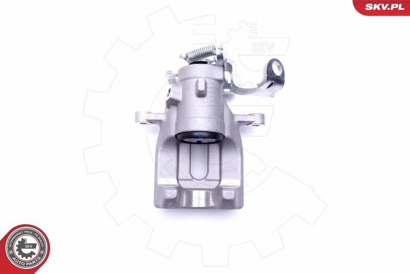 Brake Caliper 46SKV203