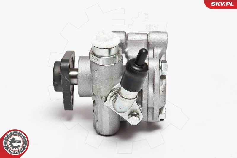 Hydraulic Pump, steering 10SKV075