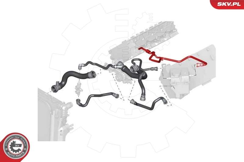 Radiator Hose 43SKV742