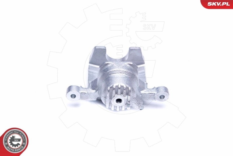 Brake Caliper 42SKV953