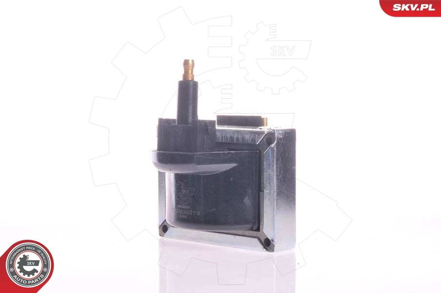 Ignition Coil 03SKV044