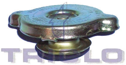 Cap, coolant tank 310176