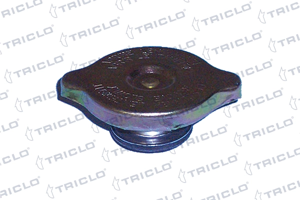 Cap, coolant tank 318070