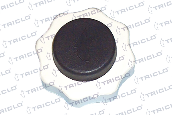 Cap, coolant tank 315391