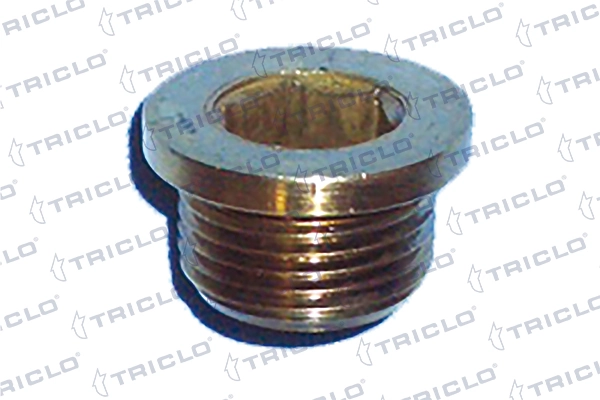 Screw Plug, oil sump 322526