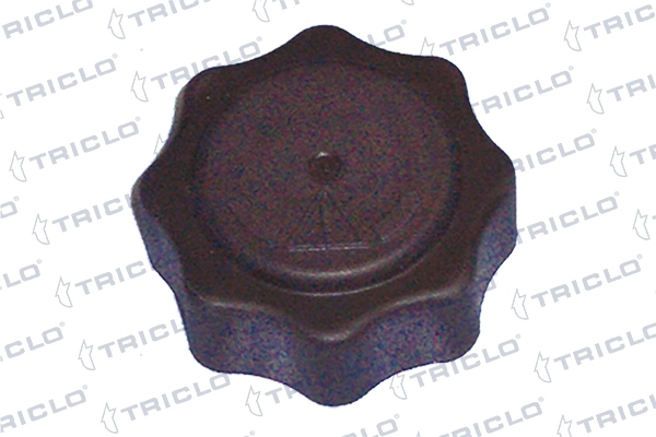 Cap, coolant tank 313339