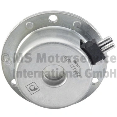 Central Magnet, camshaft adjustment 7.06117.20.0