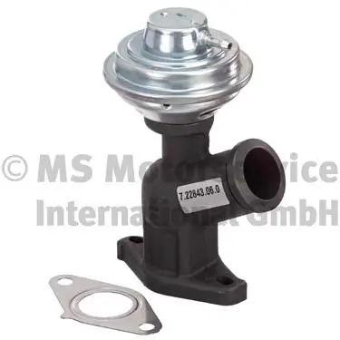 EGR Valve 7.22843.06.0