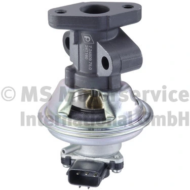 EGR Valve 7.24809.75.0
