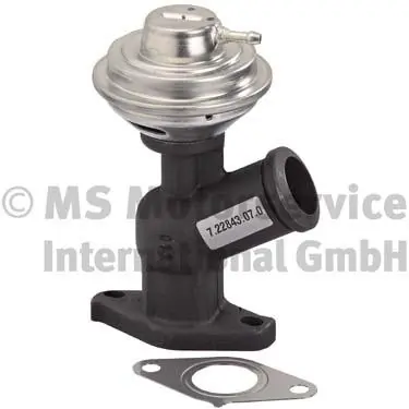 EGR Valve 7.22843.07.0