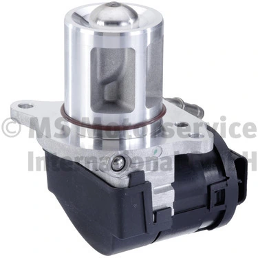 EGR Valve 7.24809.67.0