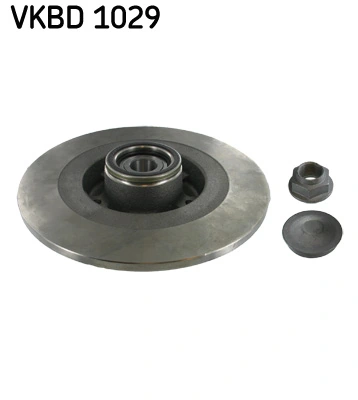 Brake Disc VKBD 1029