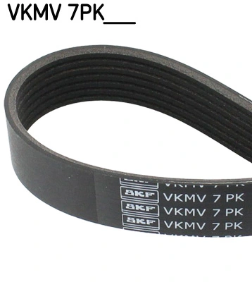 V-Ribbed Belt VKMV 7PK1832