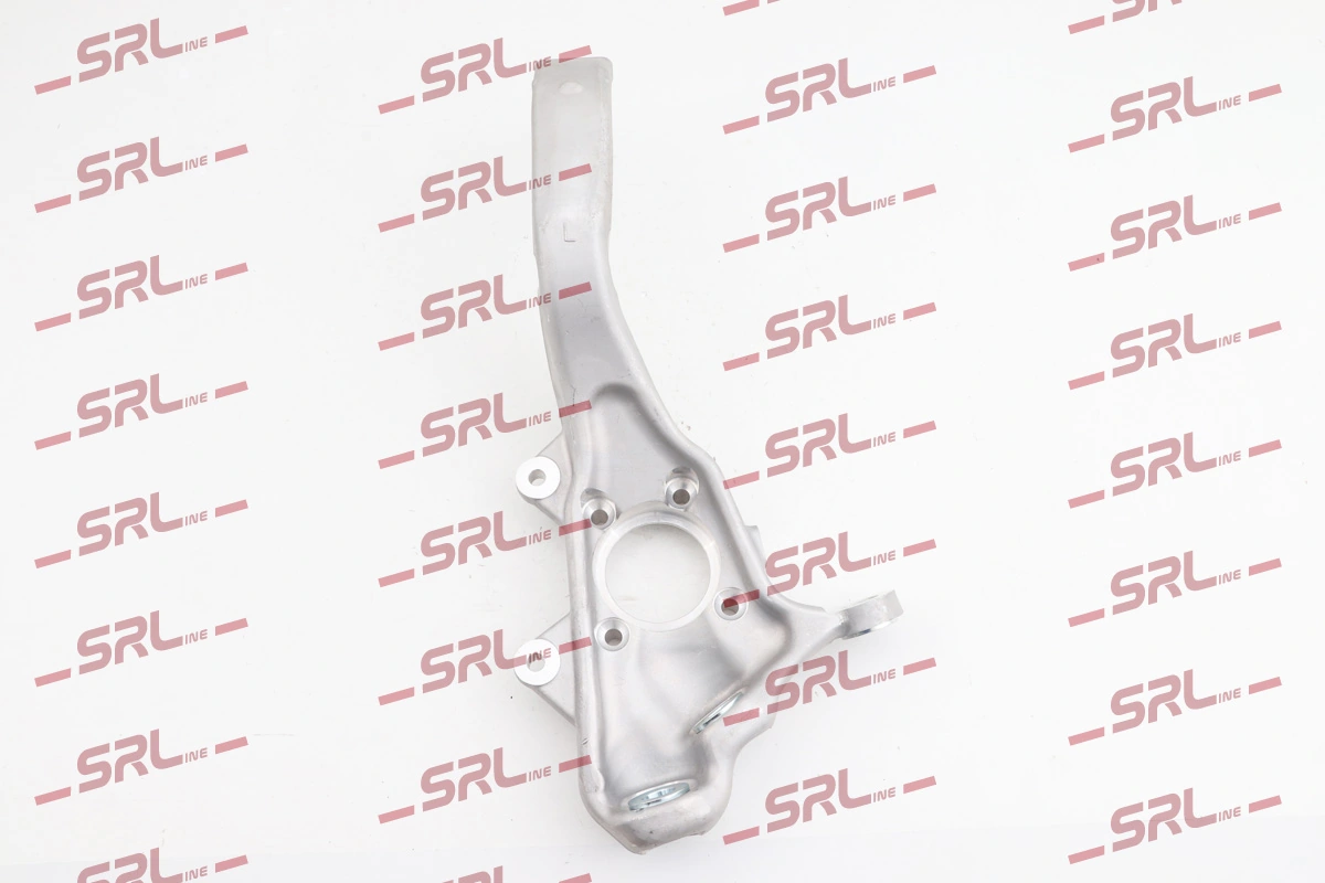 Steering Knuckle, wheel suspension ZW-B004L