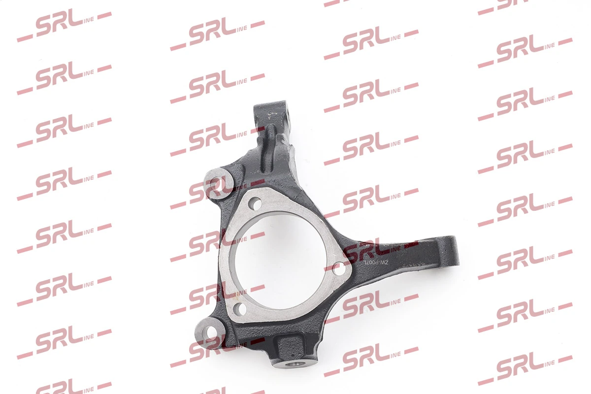 Steering Knuckle, wheel suspension ZW-P007L