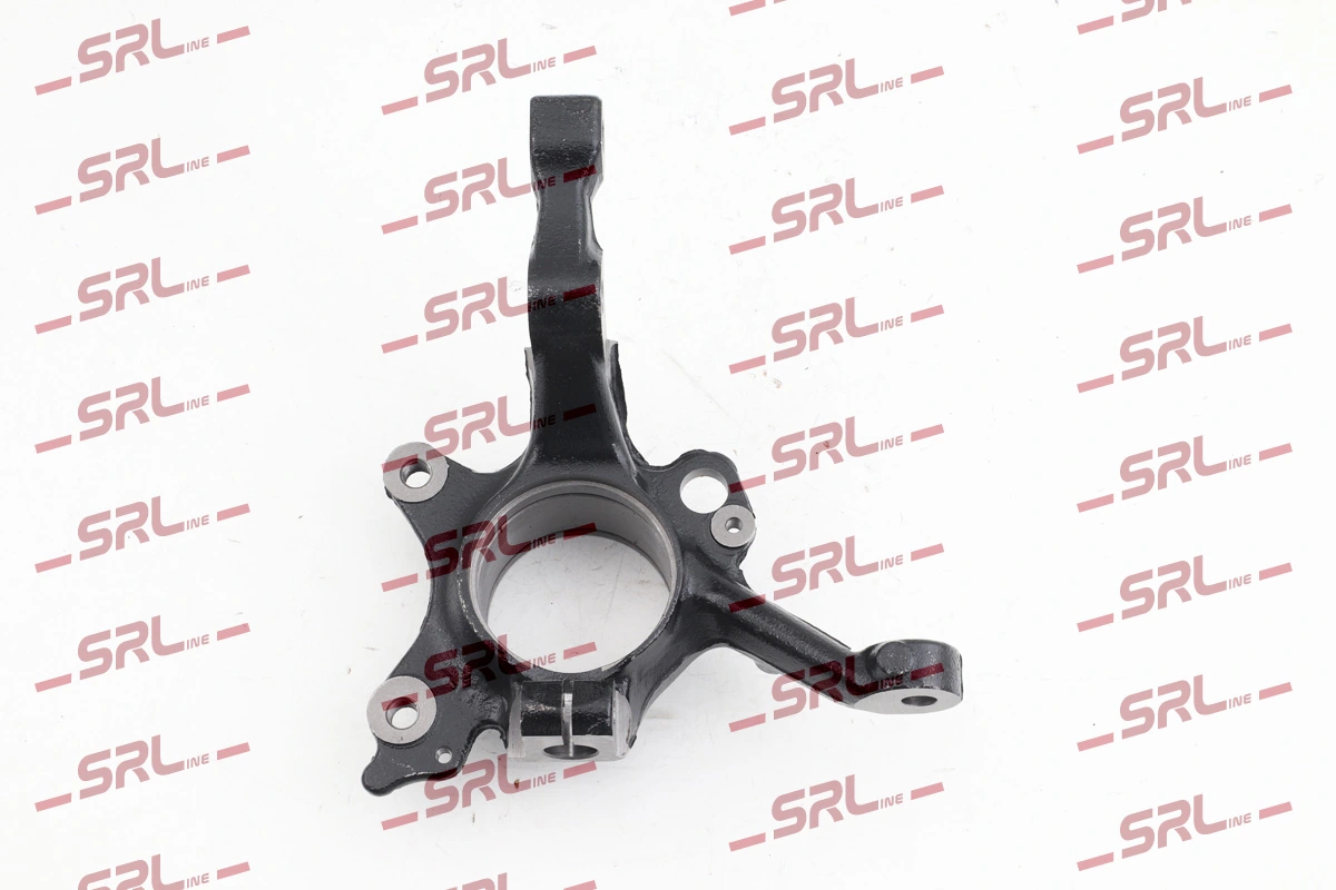 Steering Knuckle, wheel suspension ZW-V004P