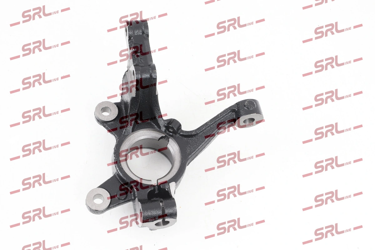 Steering Knuckle, wheel suspension ZW-FO005P