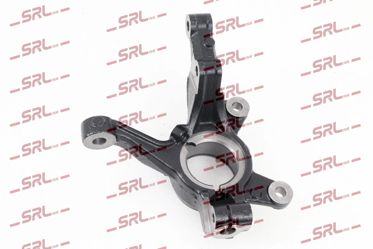 Steering Knuckle, wheel suspension ZW-FO005L