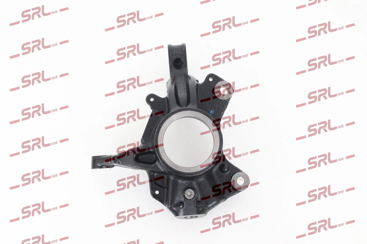 Steering Knuckle, wheel suspension ZW-R005P