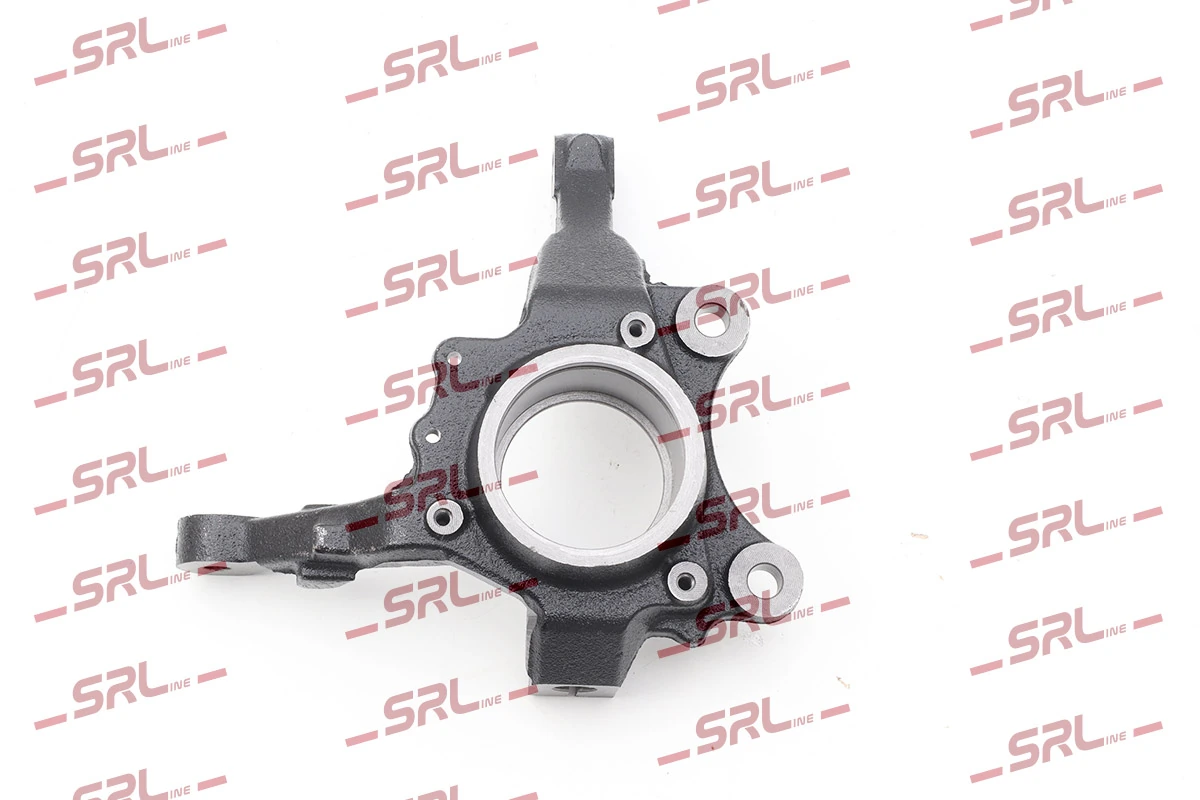 Steering Knuckle, wheel suspension ZW-P003P