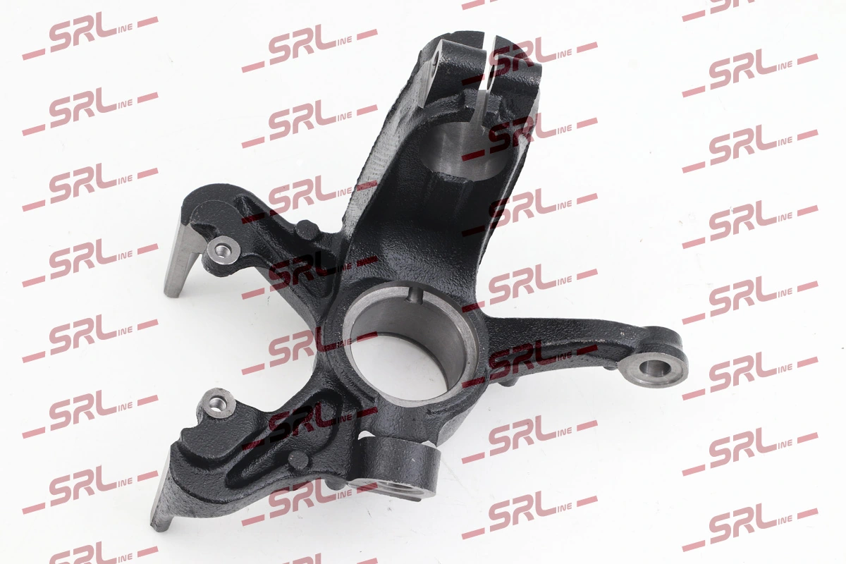 Steering Knuckle, wheel suspension ZW-V006P