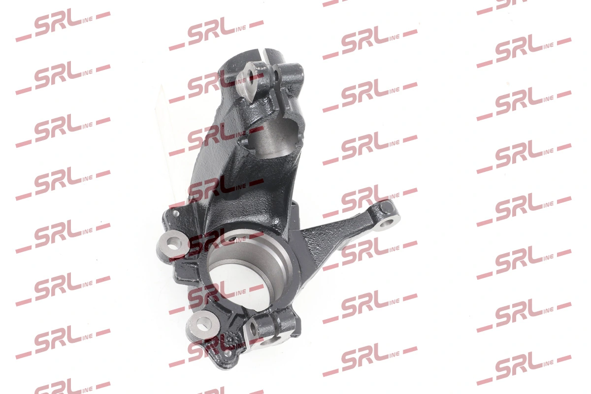 Steering Knuckle, wheel suspension ZW-FO010P