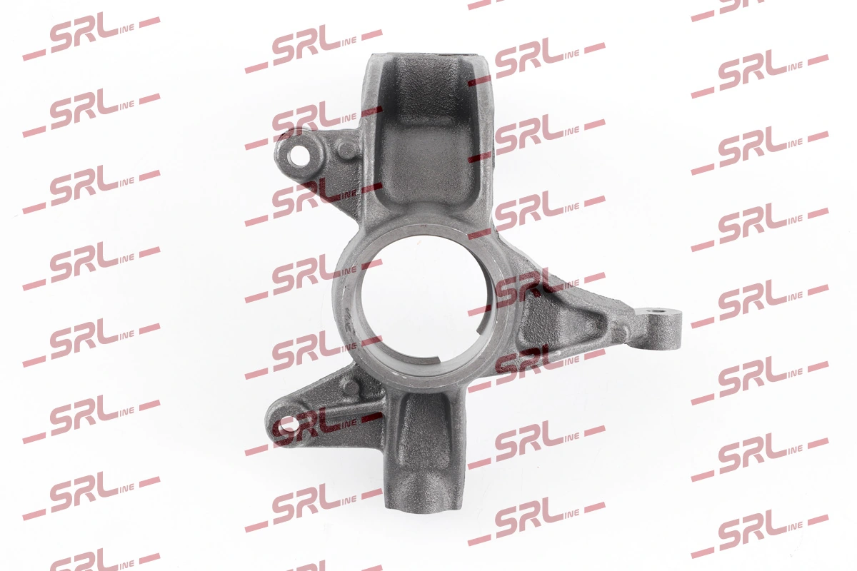 Steering Knuckle, wheel suspension ZW-R008L